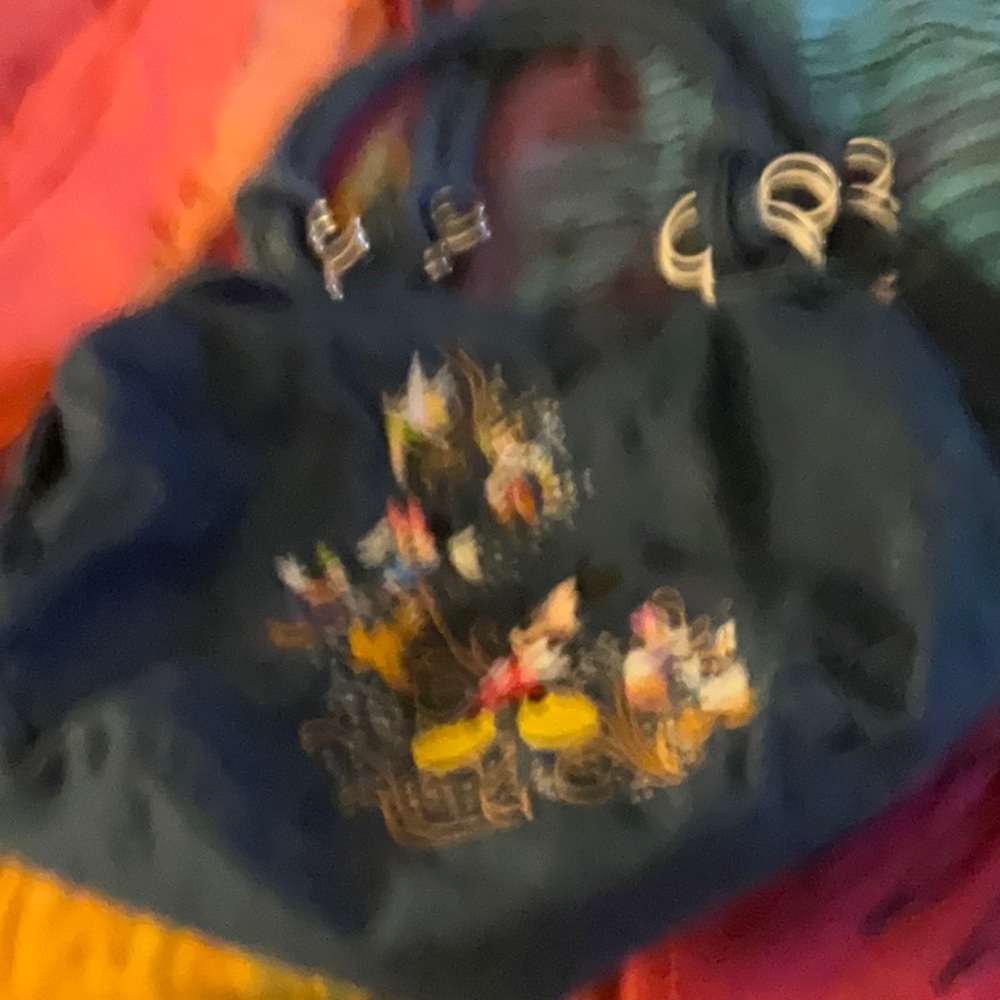 Large Branford Disney Bag - Picture 3 of 5